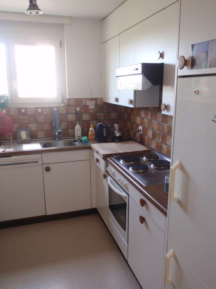 K&uuml;che, Sicht auf K&uuml;hlschrank, Herd/Backofen und Geschirrsp&uuml;ler